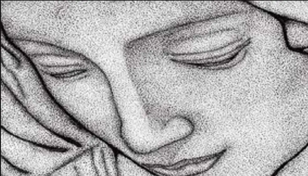 Screenshot_20250310_150224_Samsung-Internet