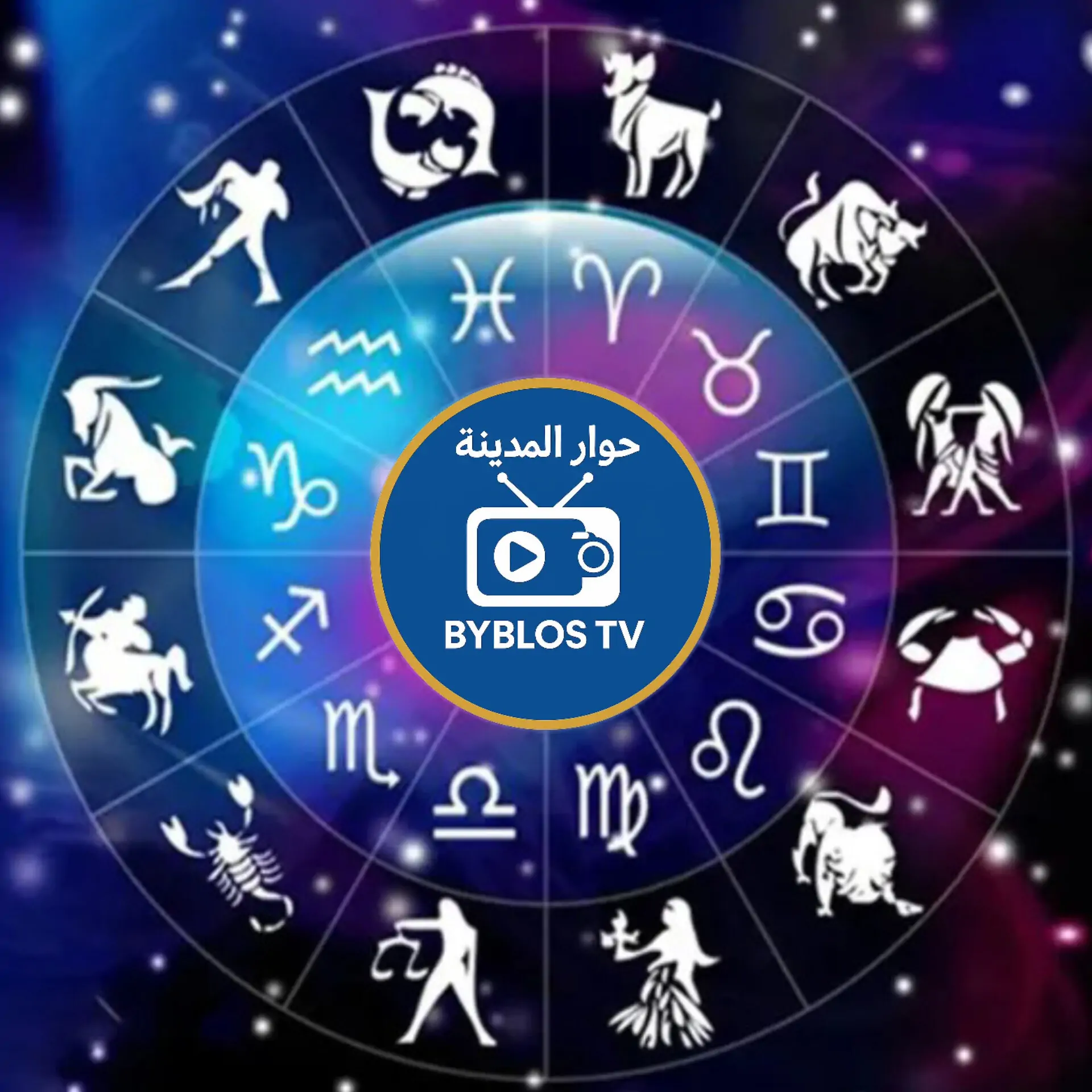 InShot_20251212_083037484